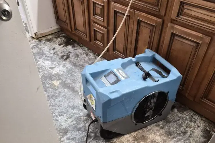 Dehumidifier running on a stripped floor beside kitchen cabinets during a Hayward dry-out
